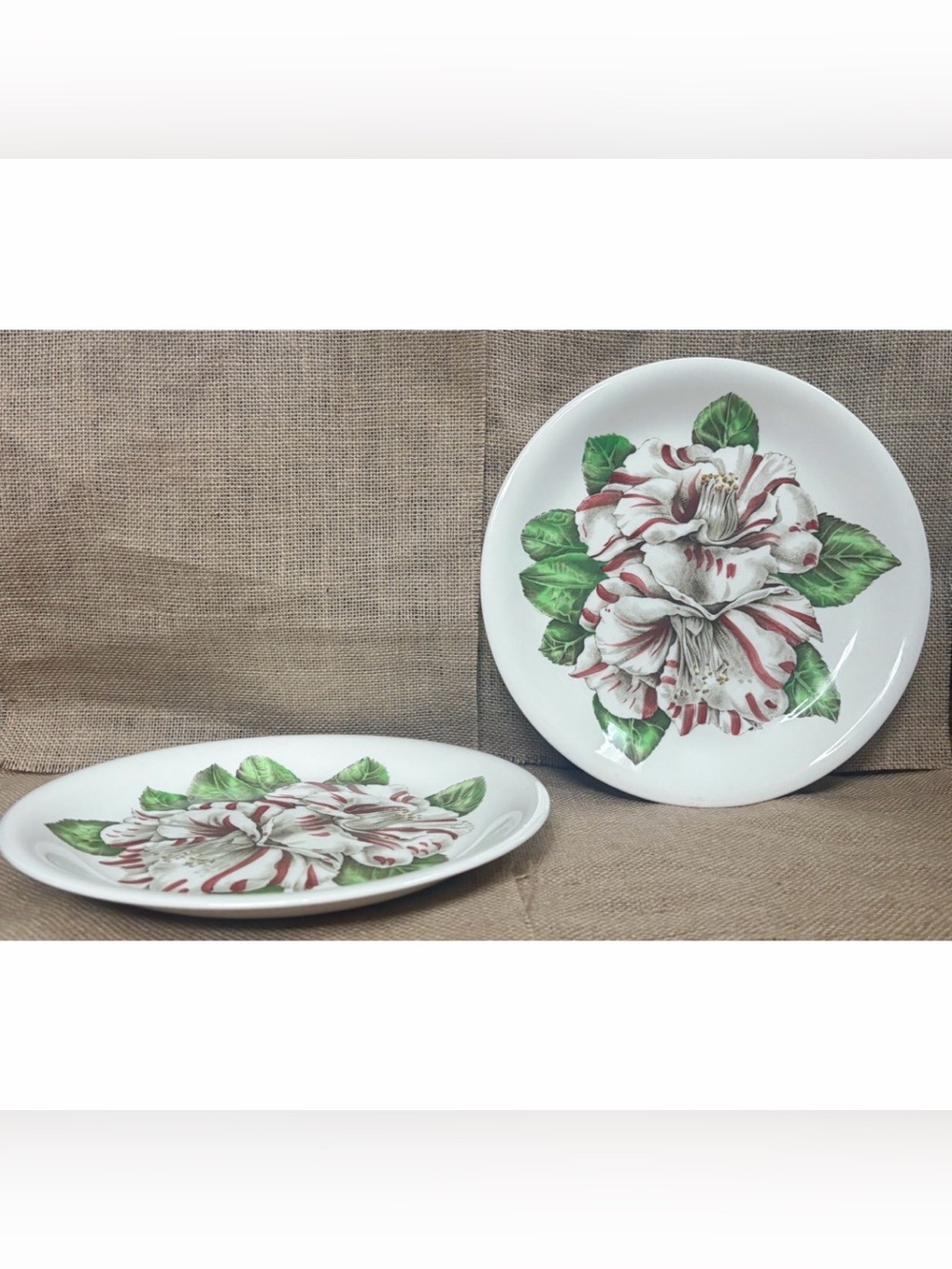 Vintage Johnson Brothers Camellia Floral Dinner Plates Set of 2 Cottagecore